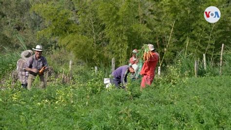 La Reforma Agraria avanza en toda Colombia .